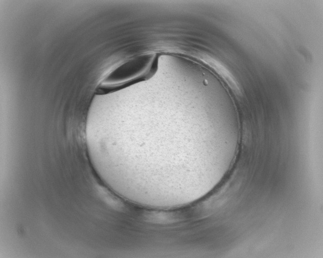 X0000115681241200911251745