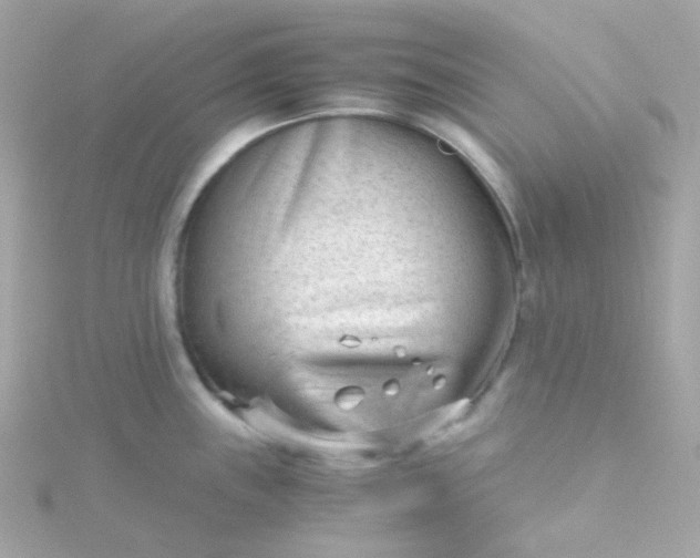 X0000115681243200911251745