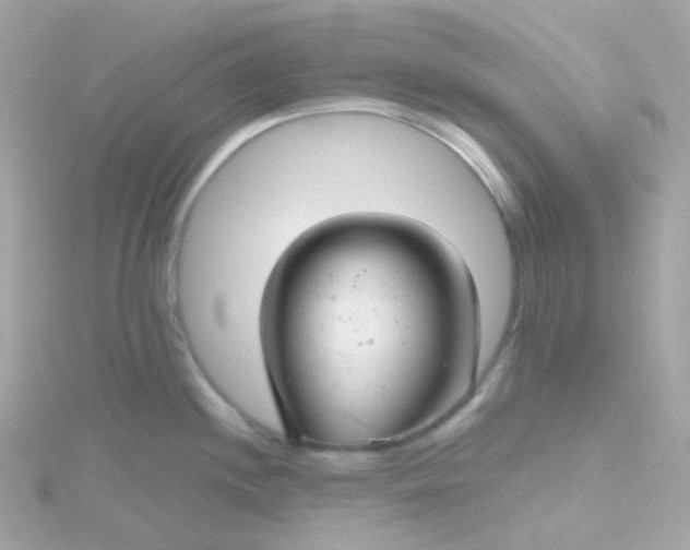 X0000115681244200911251745