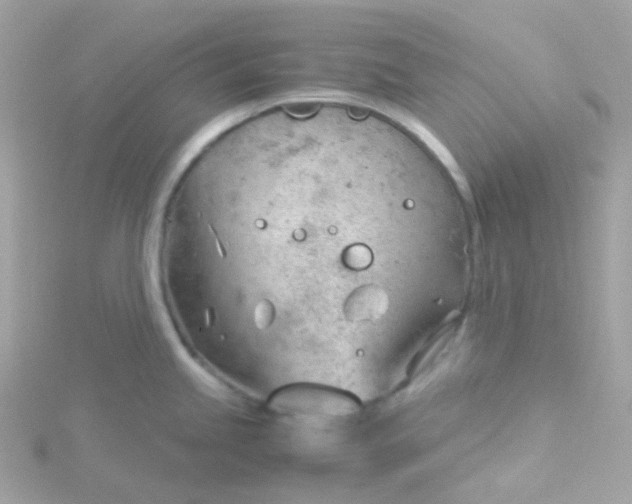 X0000115681245200911251745