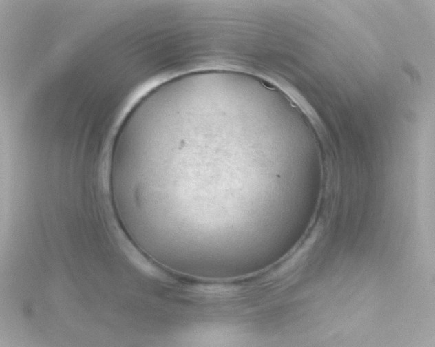 X0000115681246200911251745