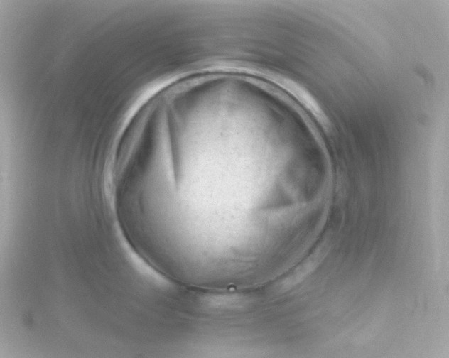 X0000115681247200911251745