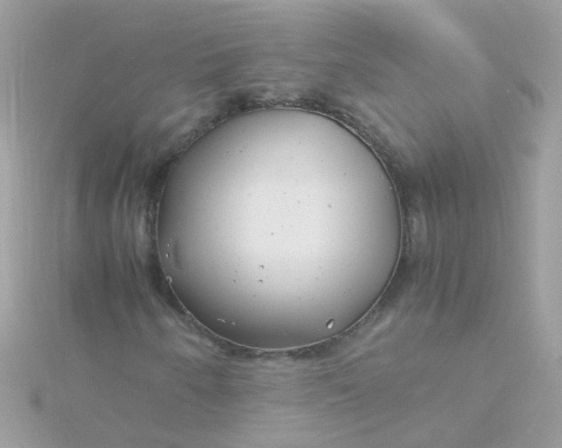 X0000115681250200911251744