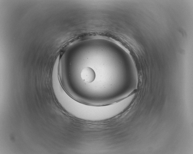 X0000115681252200911251744