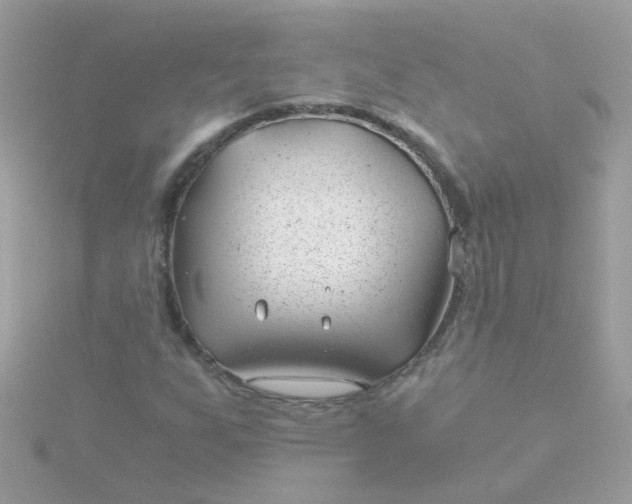 X0000115681255200911251744