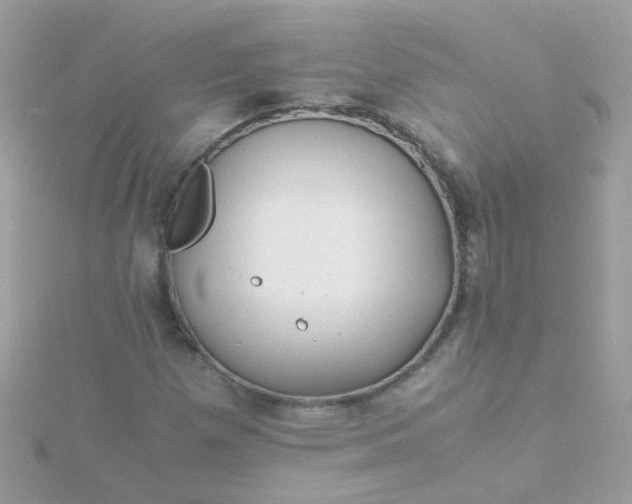 X0000115681257200911251744