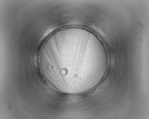 X0000115681258200911251744