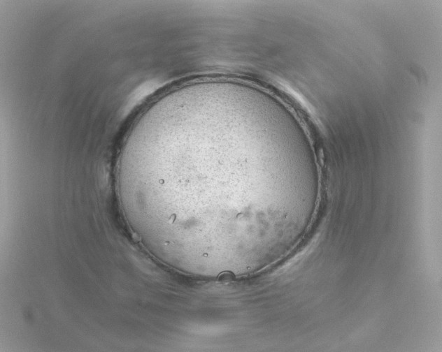 X0000115681259200911251744