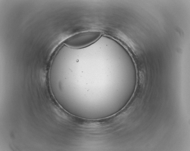 X0000115681260200911251744