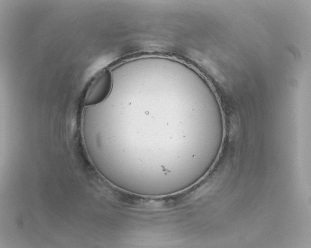 X0000115681261200911251744