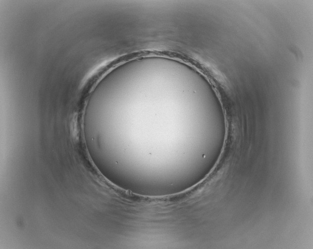 X0000115681262200911251744