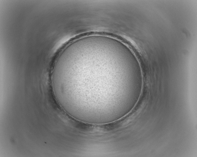 X0000115681263200911251744