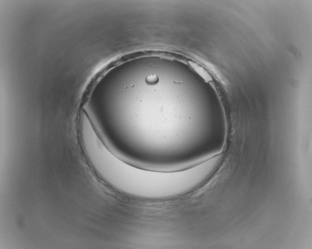 X0000115681264200911251744