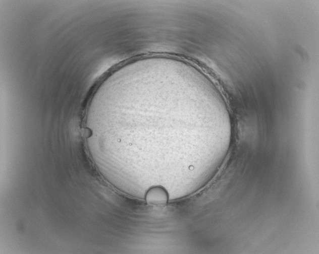 X0000115681266200911251744