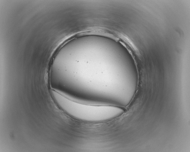 X0000115681268200911251744