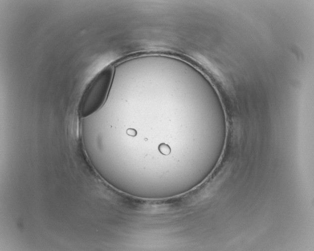 X0000115681269200911251744