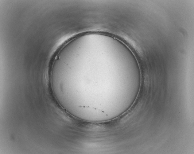 X0000115681270200911251744