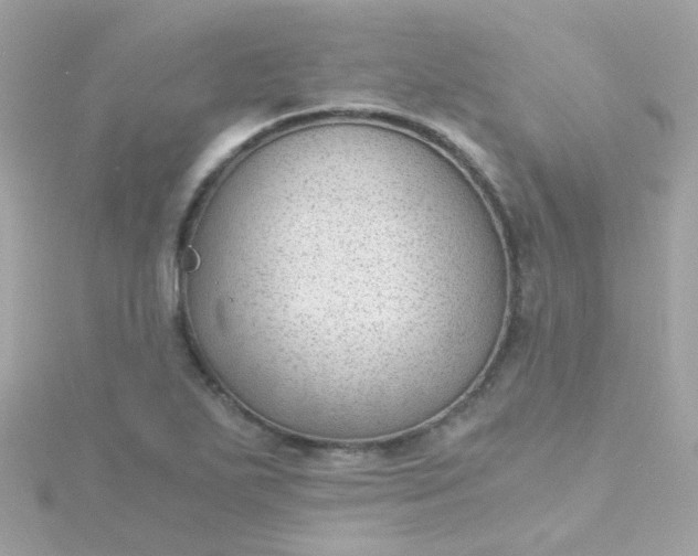 X0000115681271200911251744