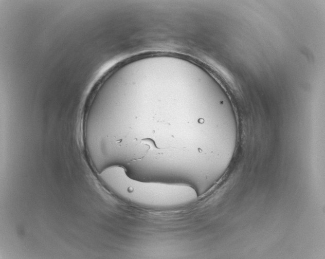 X0000115681272200911251744