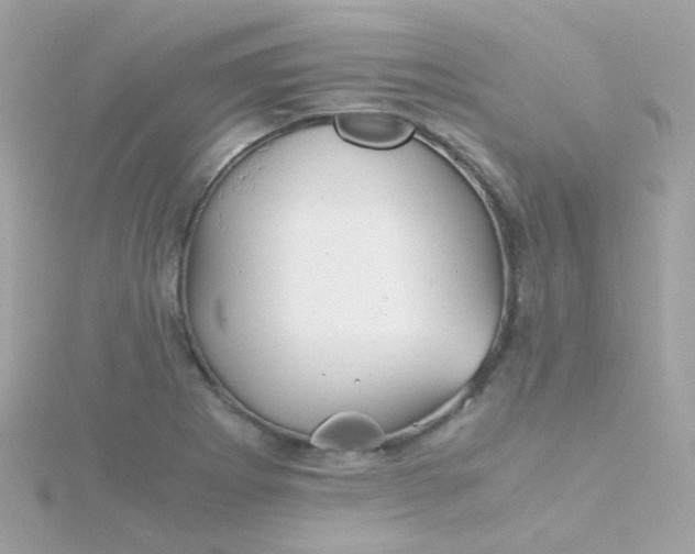 X0000115681273200911251744