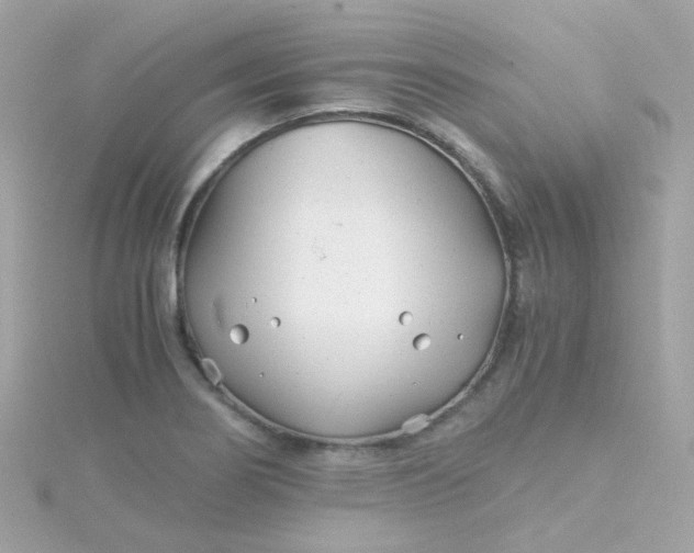 X0000115681274200911251744