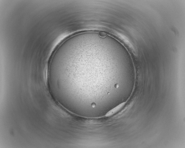 X0000115681275200911251744