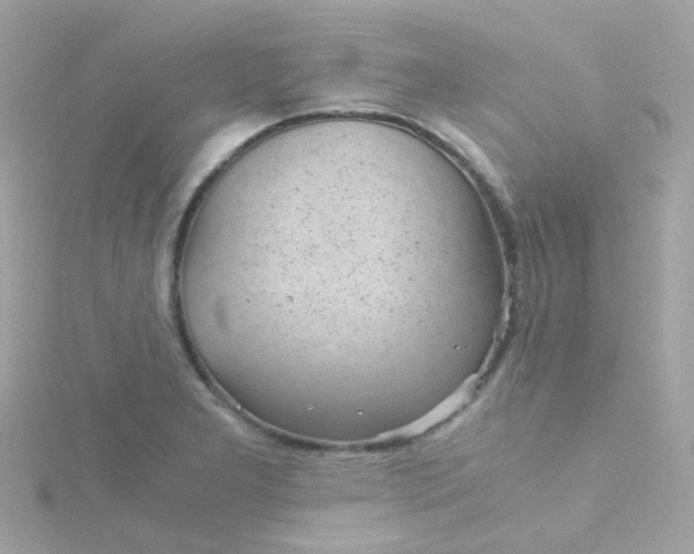 X0000115681277200911251744