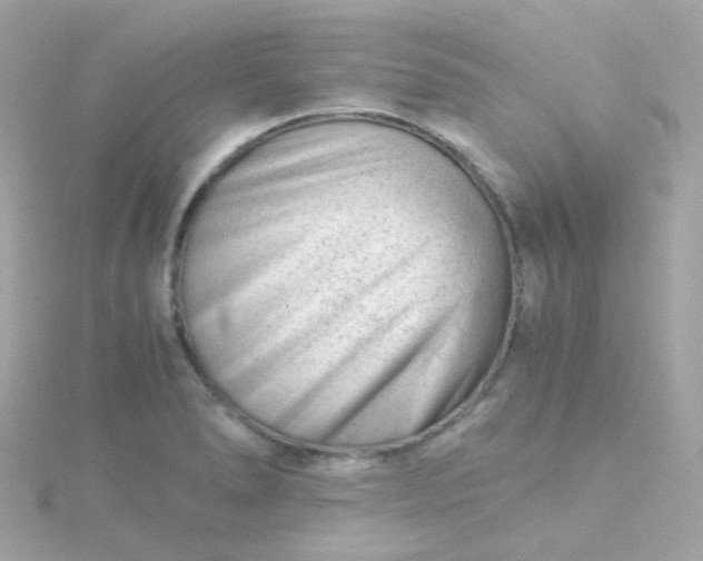 X0000115681278200911251744