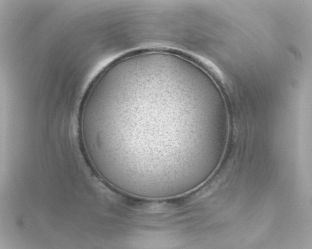 X0000115681279200911251744