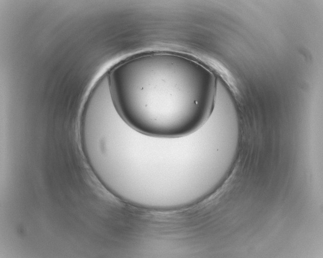 X0000115681280200911251744