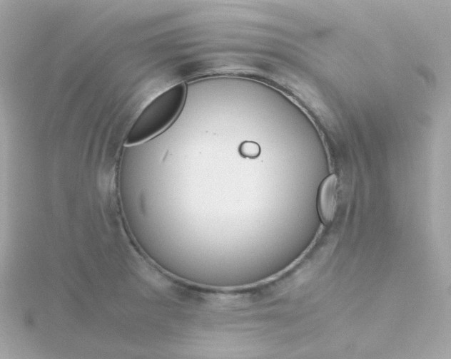 X0000115681281200911251744