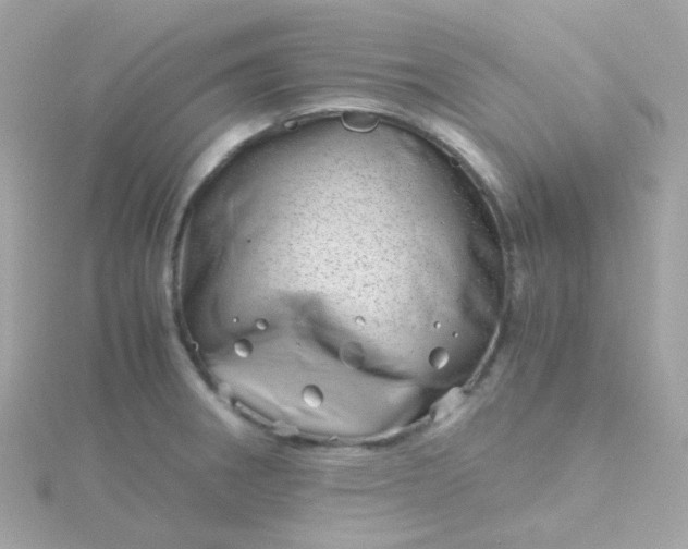 X0000115681282200911251744