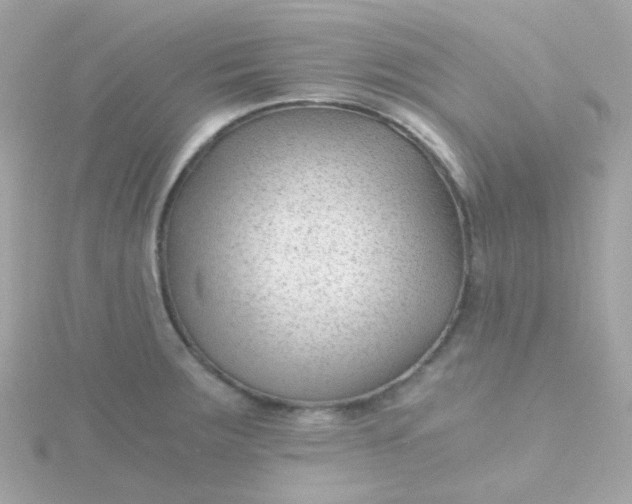 X0000115681283200911251744