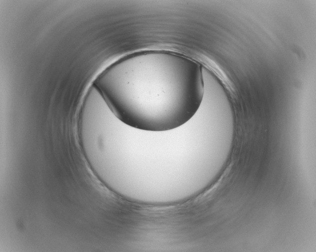 X0000115681284200911251744