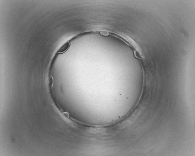 X0000115681285200911251744