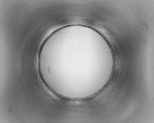 X0000115681286200911251744