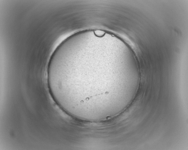 X0000115681287200911251744