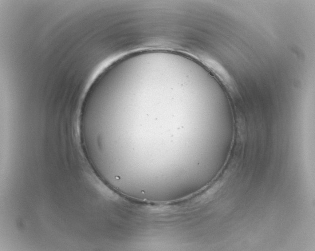 X0000115681288200911251743