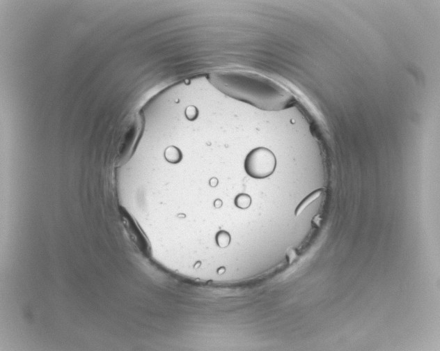 X0000115681289200911251743