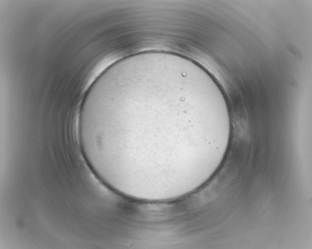 X0000115681290200911251743