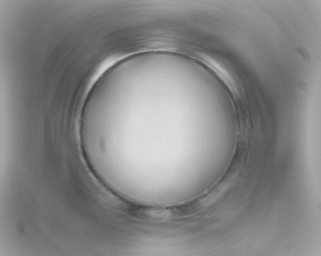 X0000115681291200911251743