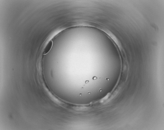 X0000115681293200911251743