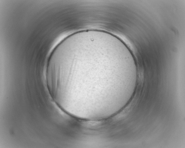 X0000115681294200911251743