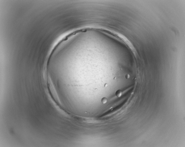 X0000115681295200911251743