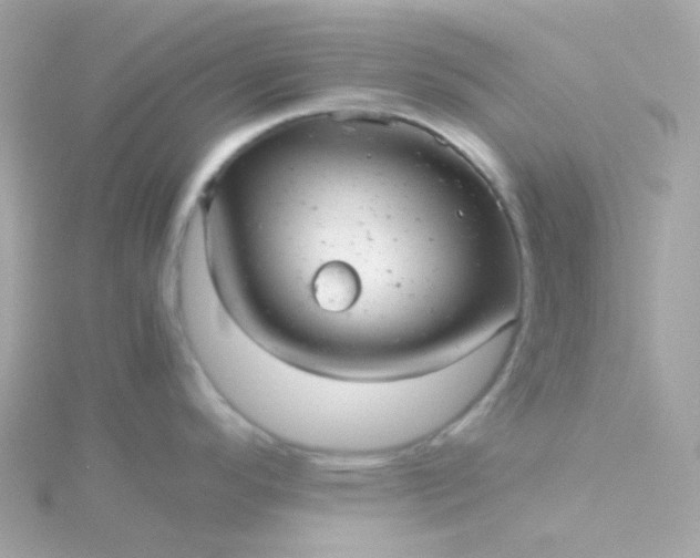 X0000115681296200911251743