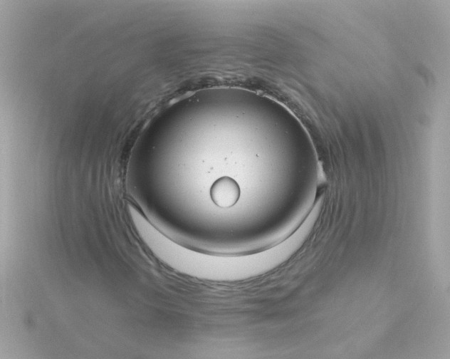 X0000115681298200911251742