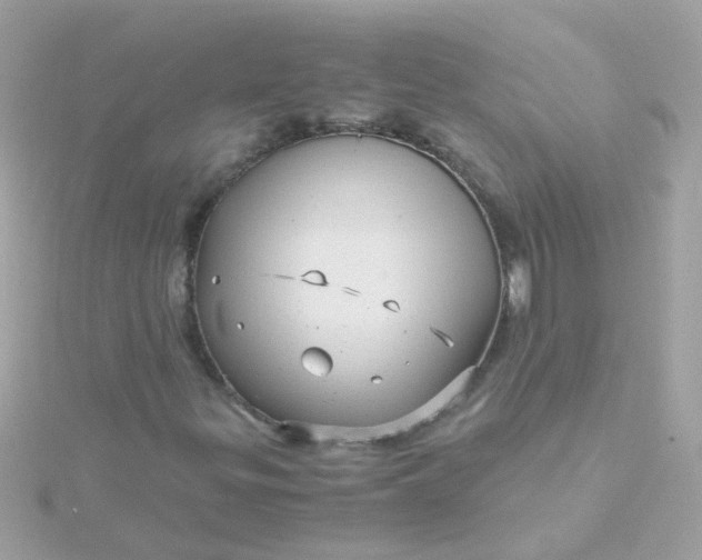 X0000115681299200911251742