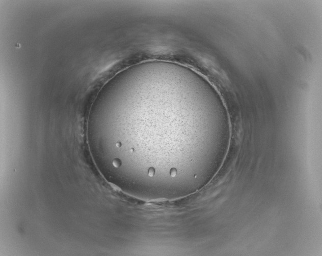 X0000115681301200911251742