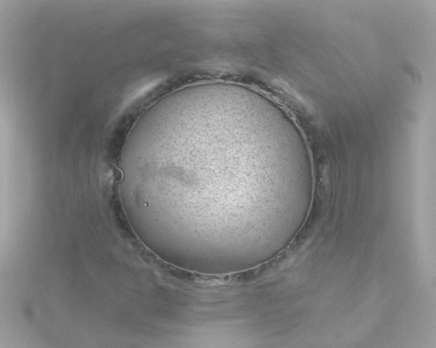 X0000115681302200911251743