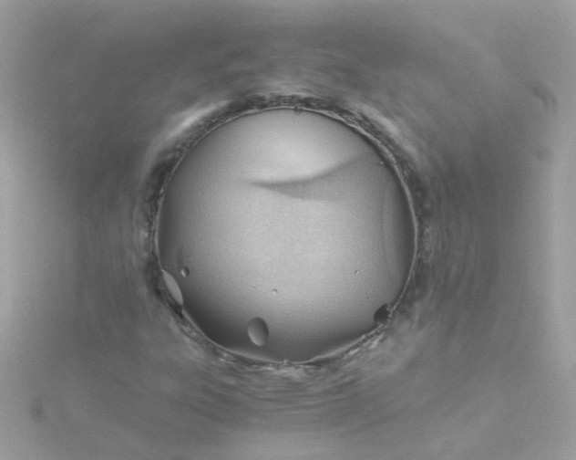 X0000115681303200911251743